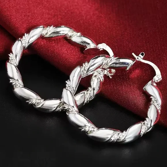 Silver Twisted Hoop Earrings with Hinged Closure - Picture 1 of 1